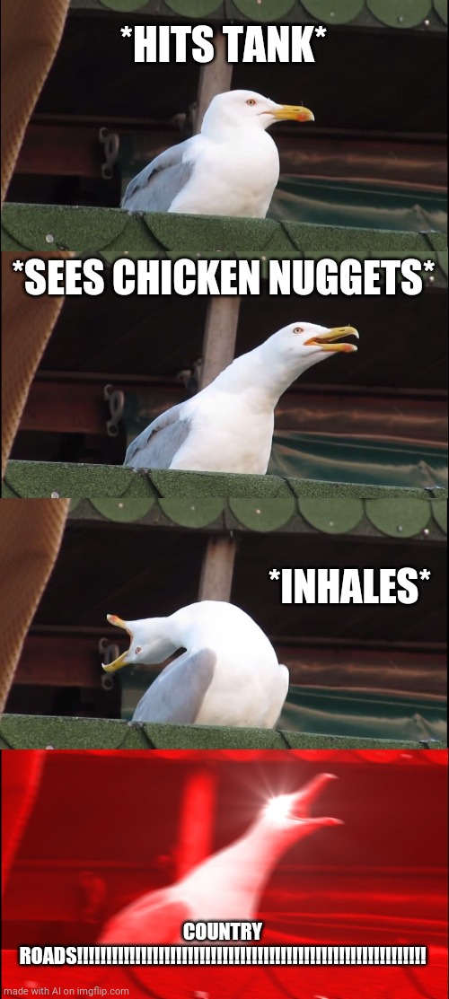 Inhaling Seagull Meme | *HITS TANK*; *SEES CHICKEN NUGGETS*; *INHALES*; COUNTRY ROADS!!!!!!!!!!!!!!!!!!!!!!!!!!!!!!!!!!!!!!!!!!!!!!!!!!!!!!!!!!!! | image tagged in memes,inhaling seagull | made w/ Imgflip meme maker