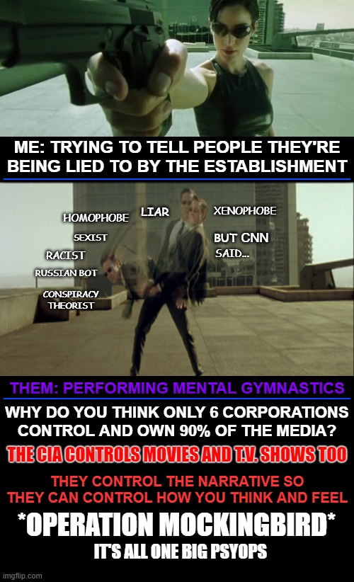 The cia brainwashing operation is almost complete | ____________________________________________; ME: TRYING TO TELL PEOPLE THEY'RE BEING LIED TO BY THE ESTABLISHMENT; XENOPHOBE; LIAR; HOMOPHOBE; CNN; SEXIST; BUT; RACIST; SAID... RUSSIAN BOT; CONSPIRACY THEORIST; THEM: PERFORMING MENTAL GYMNASTICS; ____________________________________________; WHY DO YOU THINK ONLY 6 CORPORATIONS CONTROL AND OWN 90% OF THE MEDIA? THE CIA CONTROLS MOVIES AND T.V. SHOWS TOO; THEY CONTROL THE NARRATIVE SO THEY CAN CONTROL HOW YOU THINK AND FEEL; *OPERATION MOCKINGBIRD*; IT'S ALL ONE BIG PSYOPS | image tagged in operation mockingbird,media lies,fake news,government psyops,globalists,social engeneering | made w/ Imgflip meme maker