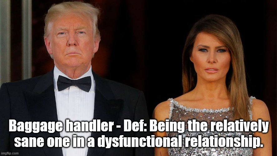 Baggage handler - Def: Being the relatively sane one in a dysfunctional relationship. | image tagged in baggage,handler,sane,dysfuncitonal,relationship | made w/ Imgflip meme maker