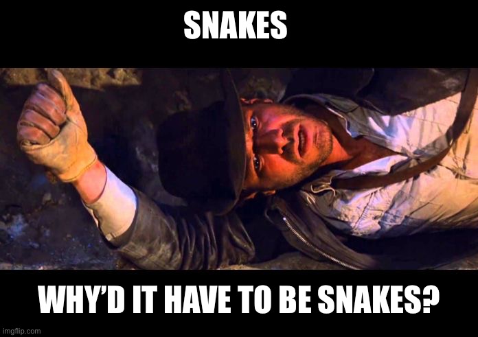 Indiana Jones Why'd It Have to be Snakes | SNAKES WHY’D IT HAVE TO BE SNAKES? | image tagged in indiana jones why'd it have to be snakes | made w/ Imgflip meme maker