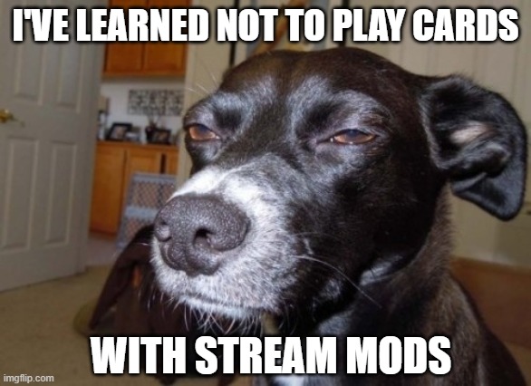 Suspicious dog | I'VE LEARNED NOT TO PLAY CARDS WITH STREAM MODS | image tagged in suspicious dog | made w/ Imgflip meme maker