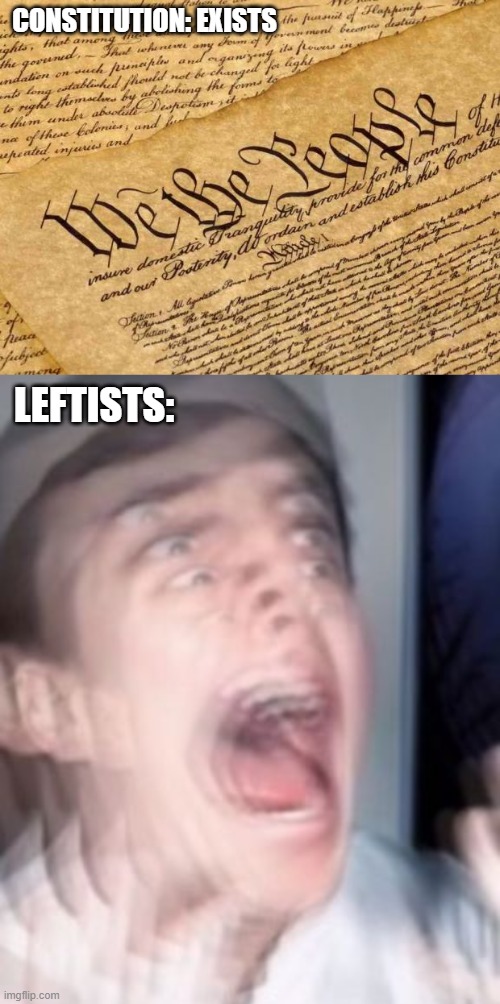 CONSTITUTION: EXISTS LEFTISTS: | image tagged in constitution,freaking out | made w/ Imgflip meme maker