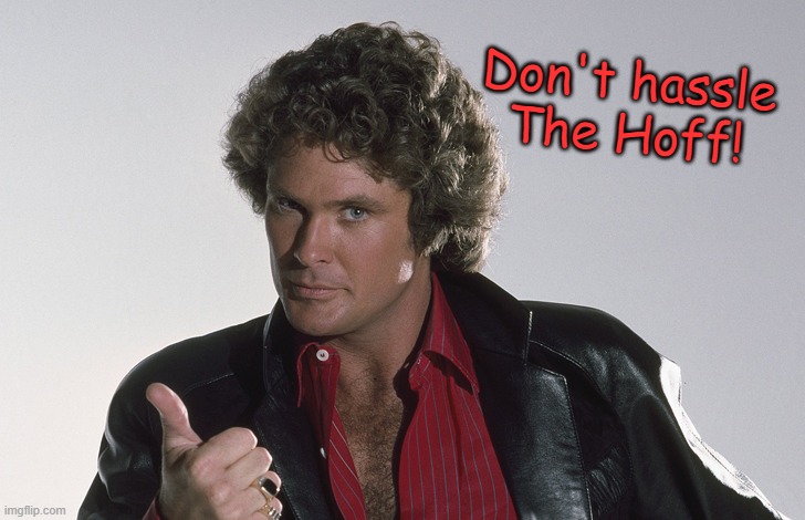 An Important Message | Don't hassle The Hoff! | image tagged in memes,david hasselhoff,knight rider,the hoff | made w/ Imgflip meme maker