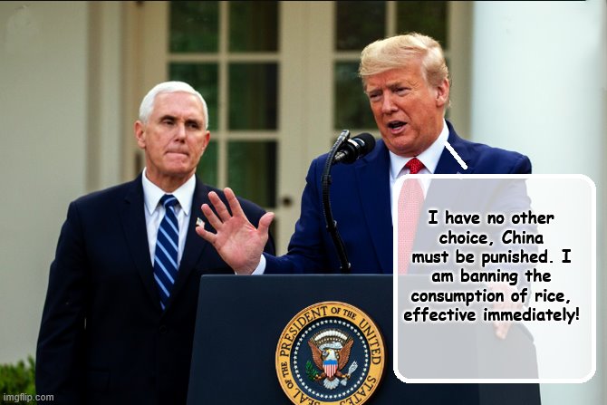 Trump Gets Tough on China | I have no other choice, China must be punished. I am banning the consumption of rice, effective immediately! | image tagged in covid-19,china,trump is a moron,donald trump is an idiot | made w/ Imgflip meme maker