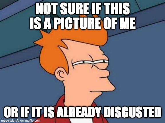 Futurama Fry | NOT SURE IF THIS IS A PICTURE OF ME; OR IF IT IS ALREADY DISGUSTED | image tagged in memes,futurama fry | made w/ Imgflip meme maker