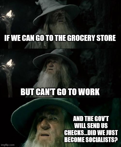 Confused Gandalf | IF WE CAN GO TO THE GROCERY STORE; BUT CAN'T GO TO WORK; AND THE GOV'T WILL SEND US CHECKS...DID WE JUST BECOME SOCIALISTS? | image tagged in memes,confused gandalf | made w/ Imgflip meme maker