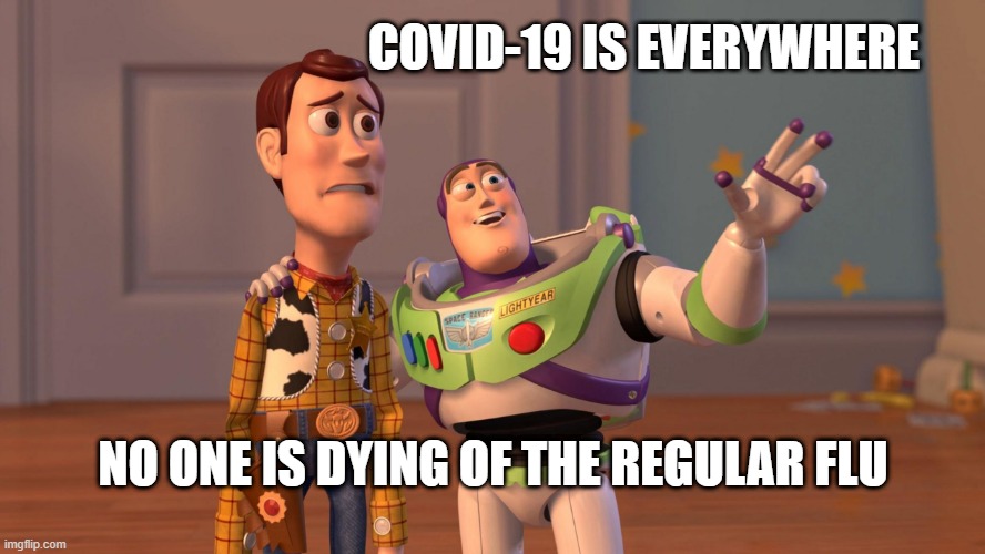 Woody and Buzz Lightyear Everywhere Widescreen | COVID-19 IS EVERYWHERE; NO ONE IS DYING OF THE REGULAR FLU | image tagged in woody and buzz lightyear everywhere widescreen | made w/ Imgflip meme maker