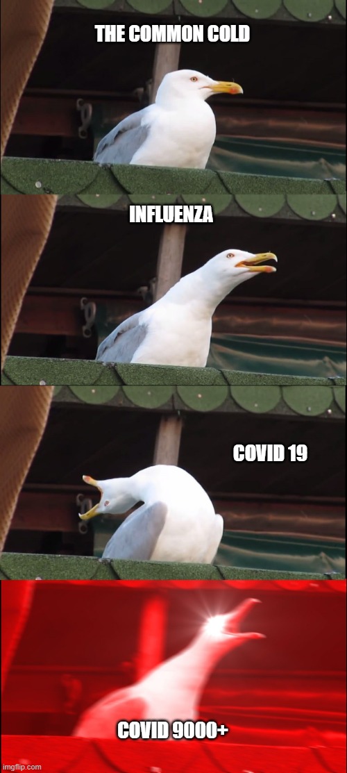 Inhaling Seagull | THE COMMON COLD; INFLUENZA; COVID 19; COVID 9000+ | image tagged in memes,inhaling seagull | made w/ Imgflip meme maker
