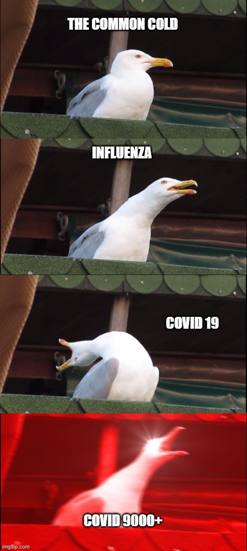 Inhaling Seagull Meme | THE COMMON COLD; INFLUENZA; COVID 19; COVID 9000+ | image tagged in memes,inhaling seagull | made w/ Imgflip meme maker