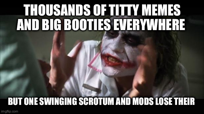 Men have a right to be objects too | THOUSANDS OF TITTY MEMES AND BIG BOOTIES EVERYWHERE; BUT ONE SWINGING SCROTUM AND MODS LOSE THEIR MINDS | image tagged in memes,and everybody loses their minds,balls | made w/ Imgflip meme maker