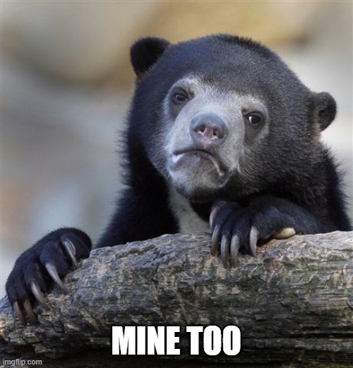 Confession Bear Meme | MINE TOO | image tagged in memes,confession bear | made w/ Imgflip meme maker
