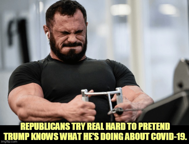 Those fantasies can really drain you. Lying to yourself is exhausting. | REPUBLICANS TRY REAL HARD TO PRETEND TRUMP KNOWS WHAT HE'S DOING ABOUT COVID-19. | image tagged in trump,coronavirus,covid-19,incompetence,stupidity,ignorance | made w/ Imgflip meme maker