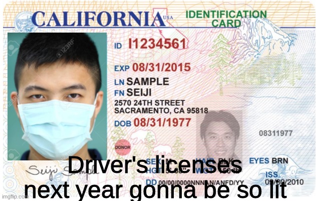 Driver's licenses next year gonna be so lit | Driver's licenses next year gonna be so lit | image tagged in coronavirus | made w/ Imgflip meme maker