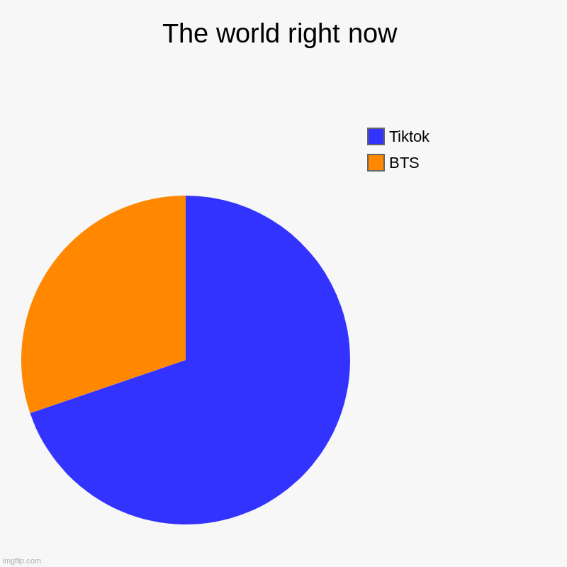 So true.. | The world right now | BTS, Tiktok | image tagged in charts,pie charts | made w/ Imgflip chart maker