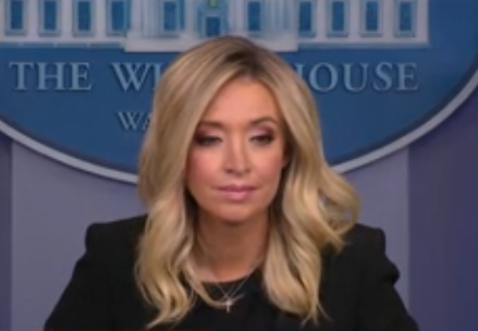 Kayleigh McEnany Blank Meme Template