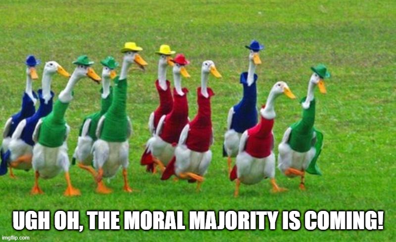 Coming to Tell You You Are Naughty | UGH OH, THE MORAL MAJORITY IS COMING! | image tagged in geese | made w/ Imgflip meme maker