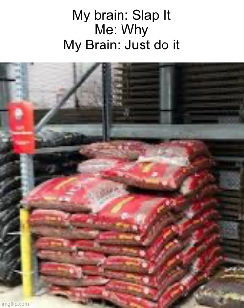 Mulch Bags | My brain: Slap It
Me: Why
My Brain: Just do it | image tagged in memes | made w/ Imgflip meme maker