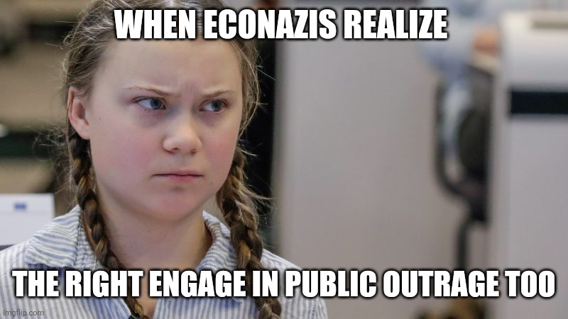 Pissedoff Greta | WHEN ECONAZIS REALIZE; THE RIGHT ENGAGE IN PUBLIC OUTRAGE TOO | image tagged in pissedoff greta | made w/ Imgflip meme maker
