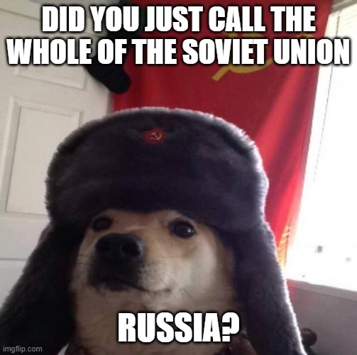 Russian Doge | DID YOU JUST CALL THE WHOLE OF THE SOVIET UNION RUSSIA? | image tagged in russian doge | made w/ Imgflip meme maker
