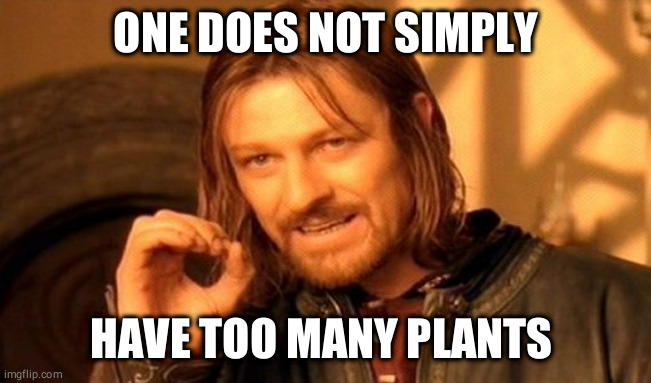 One does not simply have too many plants | ONE DOES NOT SIMPLY; HAVE TOO MANY PLANTS | image tagged in memes,one does not simply,plants,gardening | made w/ Imgflip meme maker