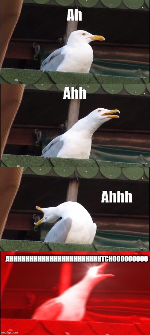 Inhaling Seagull | Ah; Ahh; Ahhh; AHHHHHHHHHHHHHHHHHHHHHHHTCHOOOOOOOOO | image tagged in memes,inhaling seagull | made w/ Imgflip meme maker