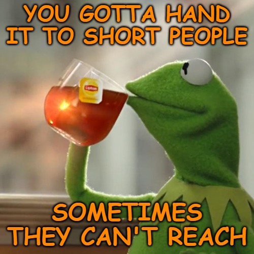 But That's None Of My Business | YOU GOTTA HAND IT TO SHORT PEOPLE; SOMETIMES THEY CAN'T REACH | image tagged in memes,but that's none of my business,kermit the frog | made w/ Imgflip meme maker