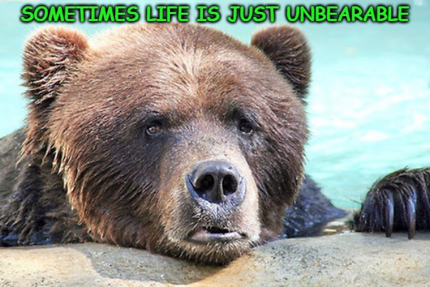 SOMETIMES LIFE IS JUST UNBEARABLE | image tagged in fun,sad,unbearable,sad bear | made w/ Imgflip meme maker
