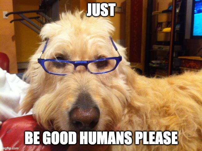 Be Good Humans | JUST; BE GOOD HUMANS PLEASE | image tagged in be good humans,cute dogs | made w/ Imgflip meme maker