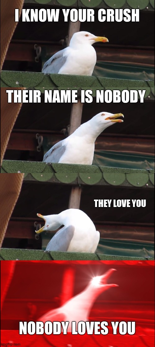 No offense | I KNOW YOUR CRUSH; THEIR NAME IS NOBODY; THEY LOVE YOU; NOBODY LOVES YOU | image tagged in memes,inhaling seagull | made w/ Imgflip meme maker