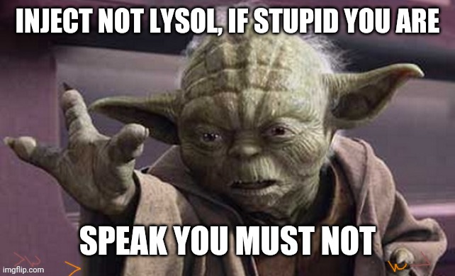 In 2020 yoda says | image tagged in jedi | made w/ Imgflip meme maker