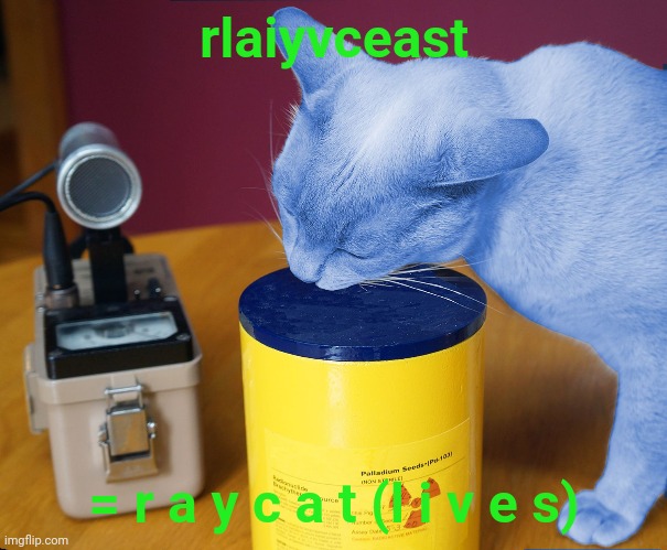 https://imgflip.com/user/rlaiyvceast |  rlaiyvceast; = r a y c a t (l i v e s) | image tagged in raycat eating,raycat,raycat chillin',raycat stare,raycat wtf,raycat save the world | made w/ Imgflip meme maker