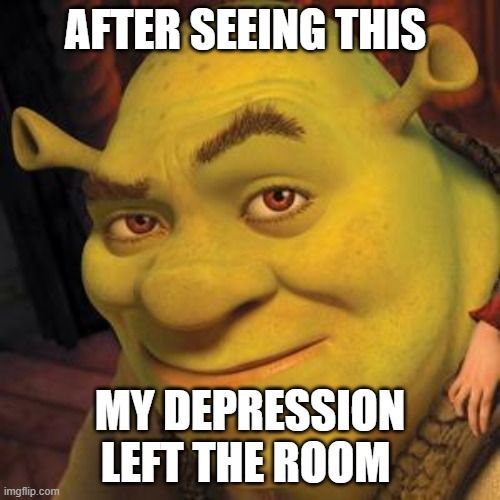 Shrek Sexy Face | AFTER SEEING THIS; MY DEPRESSION LEFT THE ROOM | image tagged in shrek sexy face | made w/ Imgflip meme maker