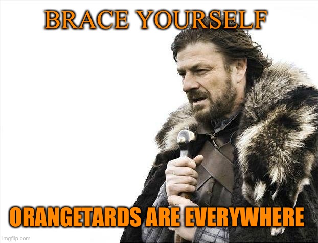 Brace Yourselves X is Coming Meme | BRACE YOURSELF ORANGETARDS ARE EVERYWHERE | image tagged in memes,brace yourselves x is coming | made w/ Imgflip meme maker