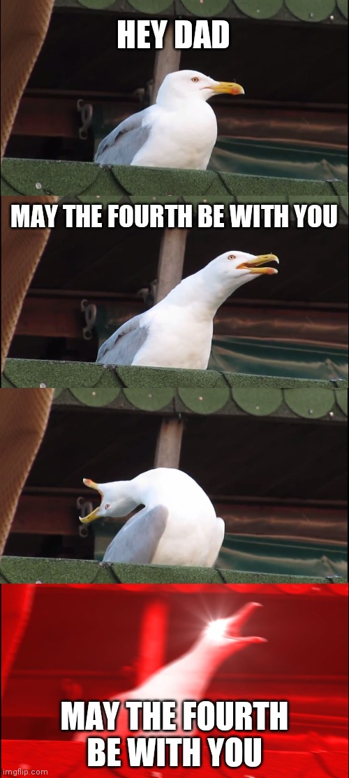 Inhaling Seagull Meme | HEY DAD; MAY THE FOURTH BE WITH YOU; MAY THE FOURTH BE WITH YOU | image tagged in memes,inhaling seagull | made w/ Imgflip meme maker