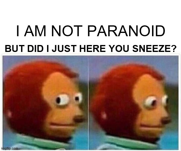 Monkey Puppet | I AM NOT PARANOID; BUT DID I JUST HERE YOU SNEEZE? | image tagged in memes,monkey puppet | made w/ Imgflip meme maker