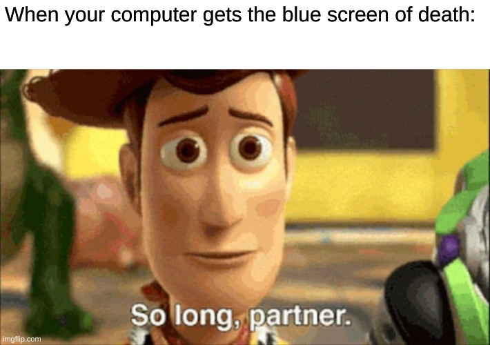 *cries in computer hardware* | When your computer gets the blue screen of death: | image tagged in so long partner | made w/ Imgflip meme maker