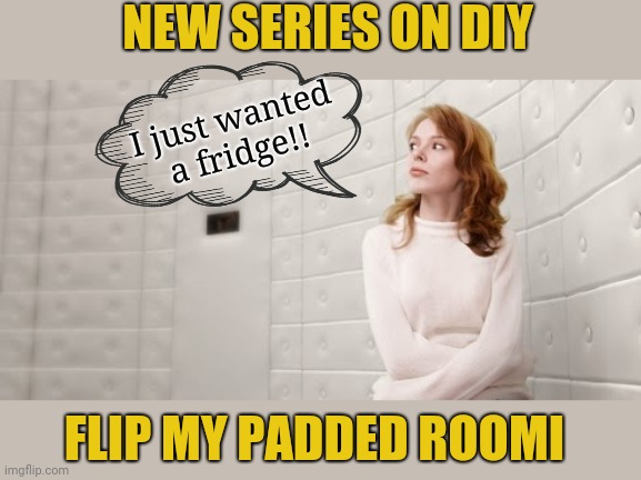 Losing my mind! | NEW SERIES ON DIY; I just wanted a fridge!! FLIP MY PADDED ROOMI | image tagged in diy | made w/ Imgflip meme maker