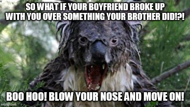 Angry Koala Meme | SO WHAT IF YOUR BOYFRIEND BROKE UP WITH YOU OVER SOMETHING YOUR BROTHER DID!?! BOO HOO! BLOW YOUR NOSE AND MOVE ON! | image tagged in memes,angry koala,loud house,the loud house,lori loud,bobby santiago | made w/ Imgflip meme maker