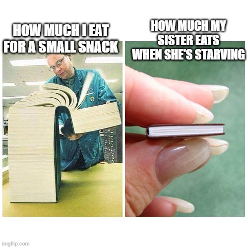 Big book vs Little Book | HOW MUCH MY SISTER EATS WHEN SHE'S STARVING; HOW MUCH I EAT FOR A SMALL SNACK | image tagged in big book vs little book | made w/ Imgflip meme maker