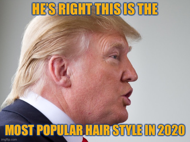 HE’S RIGHT THIS IS THE MOST POPULAR HAIR STYLE IN 2020 | made w/ Imgflip meme maker