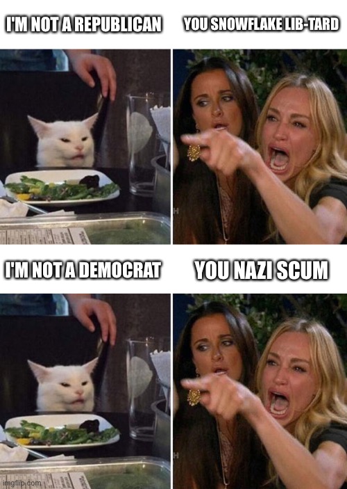 Not enrolled in your two party charade | I'M NOT A REPUBLICAN; YOU SNOWFLAKE LIB-TARD; I'M NOT A DEMOCRAT; YOU NAZI SCUM | image tagged in meme,republican,democrat,dumb and dumber,dinner,woman yelling at cat | made w/ Imgflip meme maker