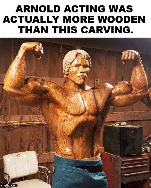 Also his acting was more stiff as well. |  ARNOLD ACTING WAS 
ACTUALLY MORE WOODEN 
THAN THIS CARVING. | image tagged in arnold schwarzenegger,acting | made w/ Imgflip meme maker