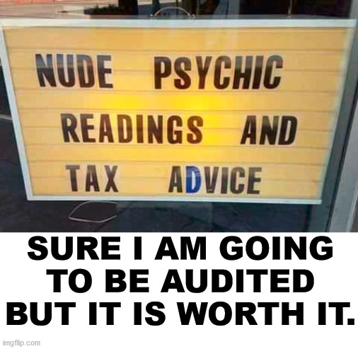 The readings and tax advice are topless. | SURE I AM GOING TO BE AUDITED BUT IT IS WORTH IT. | image tagged in physics,taxes,advice,reading | made w/ Imgflip meme maker