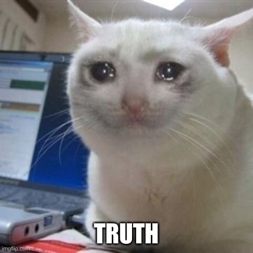 Crying cat | TRUTH | image tagged in crying cat | made w/ Imgflip meme maker