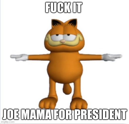 garfield t-pose | F**K IT JOE MAMA FOR PRESIDENT | image tagged in garfield t-pose | made w/ Imgflip meme maker