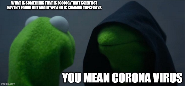 Evil Kermit Meme | WHAT IS SOMETHING THAT IS ECOLOGY THAT SCIENTIST HAVEN'T FOUND OUT ABOUT YET AND IS COMMON THESE DAYS; YOU MEAN CORONA VIRUS | image tagged in memes,evil kermit | made w/ Imgflip meme maker