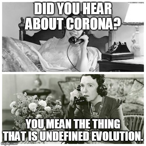 Women Sharing Dirty Secrets | DID YOU HEAR ABOUT CORONA? YOU MEAN THE THING THAT IS UNDEFINED EVOLUTION. | image tagged in women sharing dirty secrets | made w/ Imgflip meme maker