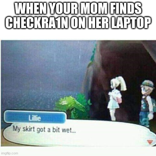 My skirt got a bit wet | WHEN YOUR MOM FINDS CHECKRA1N ON HER LAPTOP | image tagged in my skirt got a bit wet | made w/ Imgflip meme maker