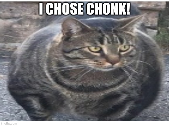 I CHOSE CHONK! | made w/ Imgflip meme maker