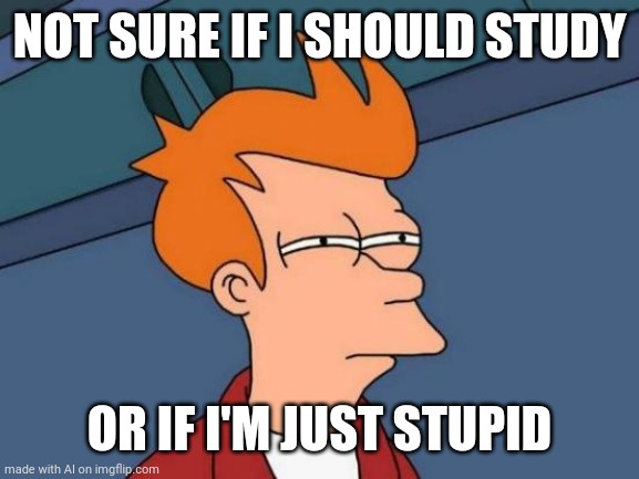 Futurama Fry | NOT SURE IF I SHOULD STUDY; OR IF I'M JUST STUPID | image tagged in memes,futurama fry | made w/ Imgflip meme maker